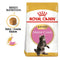 Royal Canin Maine Coon Kitten Dry Food