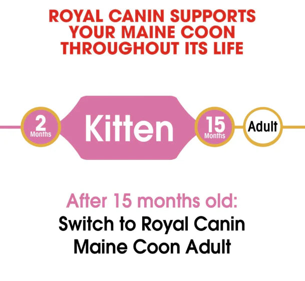 Royal Canin Maine Coon Kitten Dry Food
