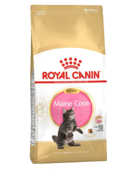 Royal Canin Maine Coon Kitten Dry Food