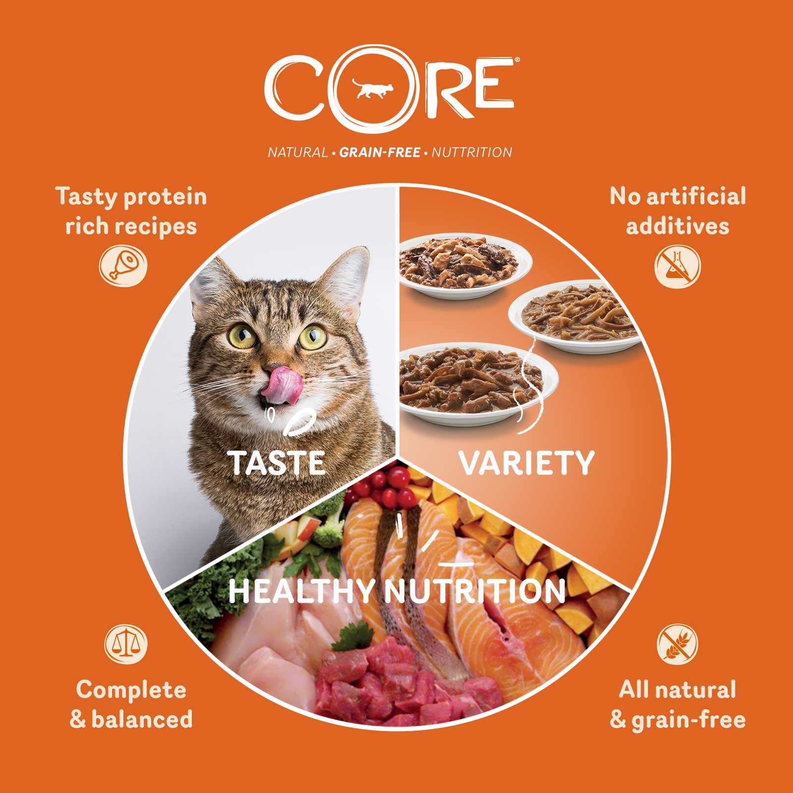 Wellness Core Tender Cuts with Salmon and Tuna in Gravy Cat Wet Food