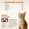 Wellness Core Tender Cuts with Salmon and Tuna in Gravy Cat Wet Food