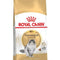 Royal Canin Norwegian Forest Cat
