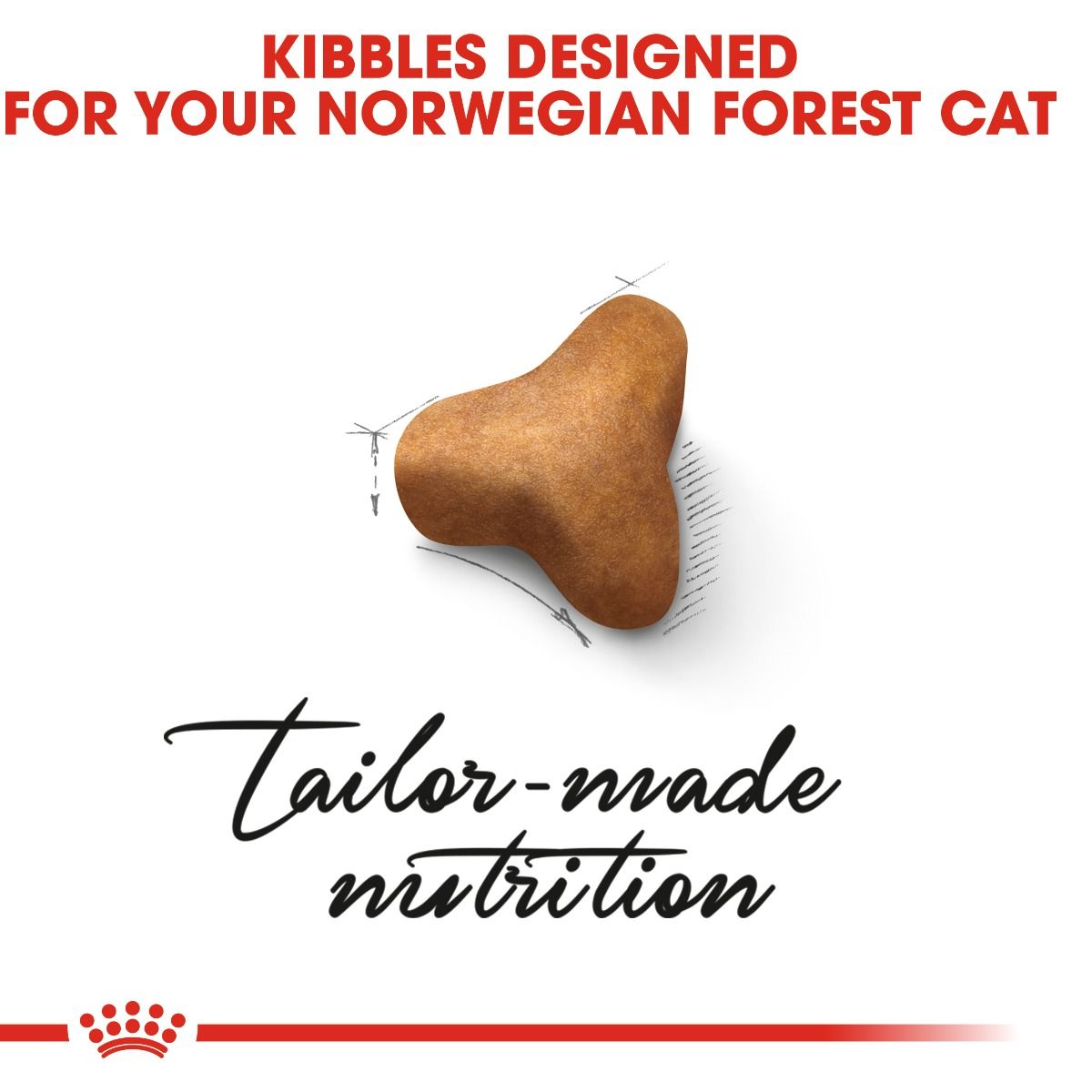 Royal Canin Norwegian Forest Cat
