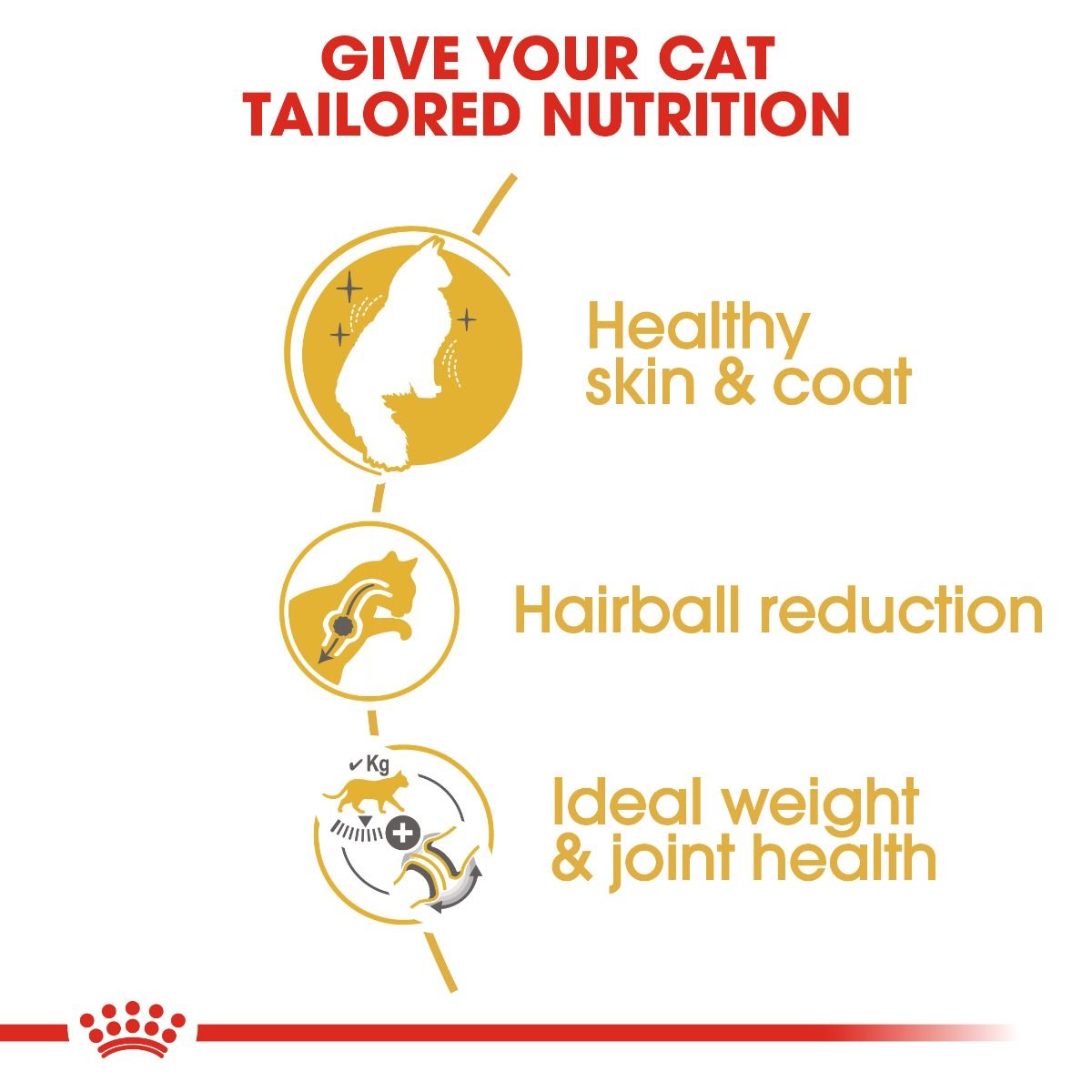 Royal Canin Norwegian Forest Cat