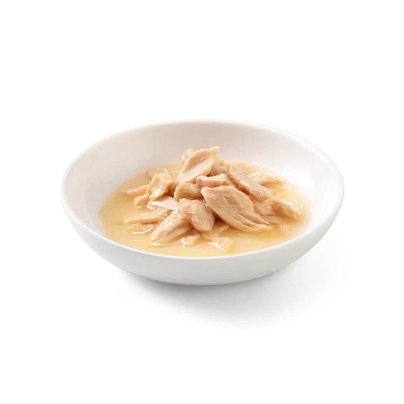 Schesir Natural Brine Salmon Wet Cat Food