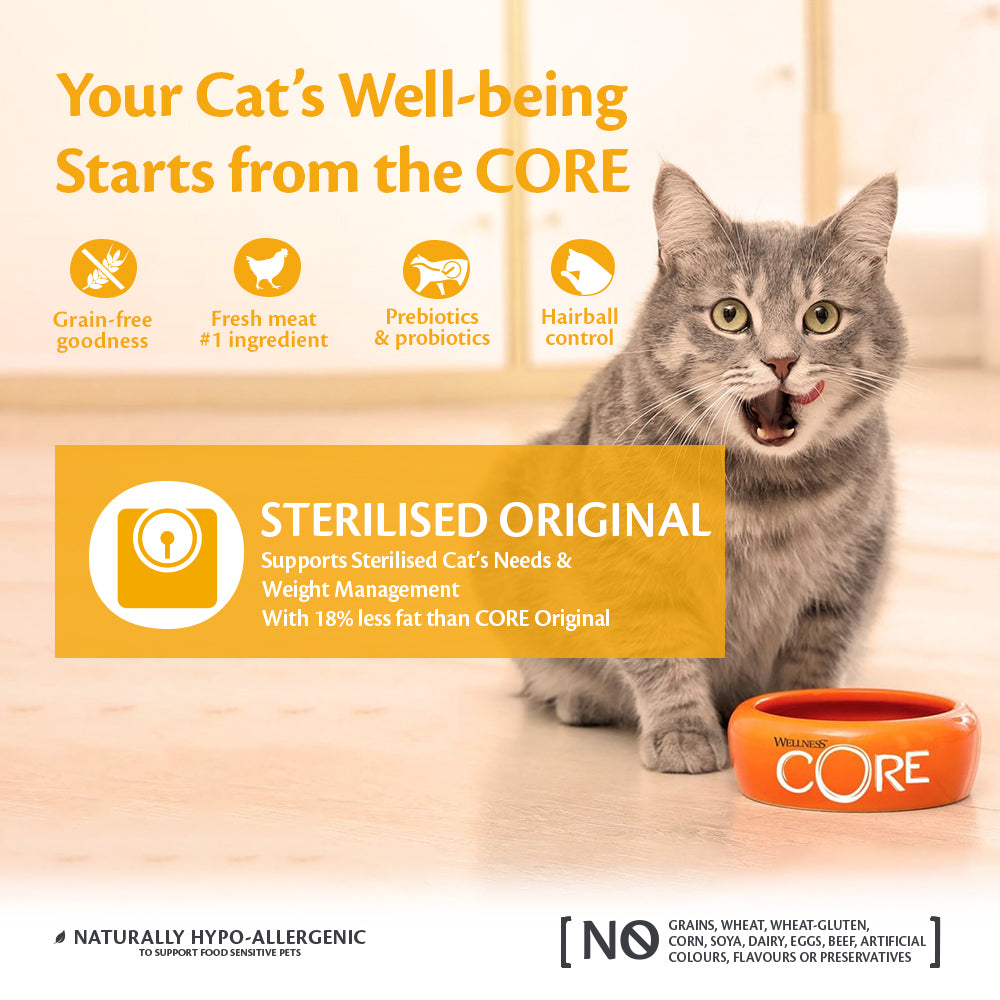 Wellness Core Original Turkey with Chicken Recipe Cat Dry Food
