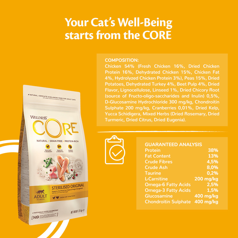 Wellness Core Original Turkey with Chicken Recipe Cat Dry Food