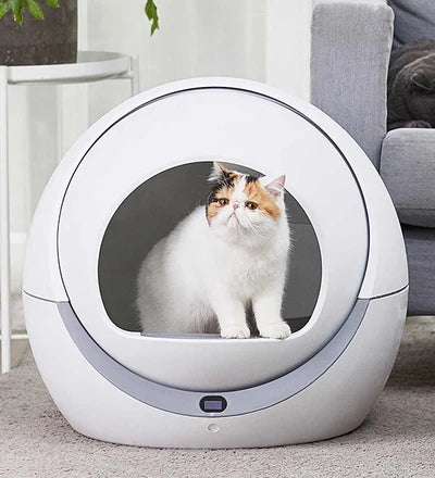 Petree Star Automatic Cat Litter Box