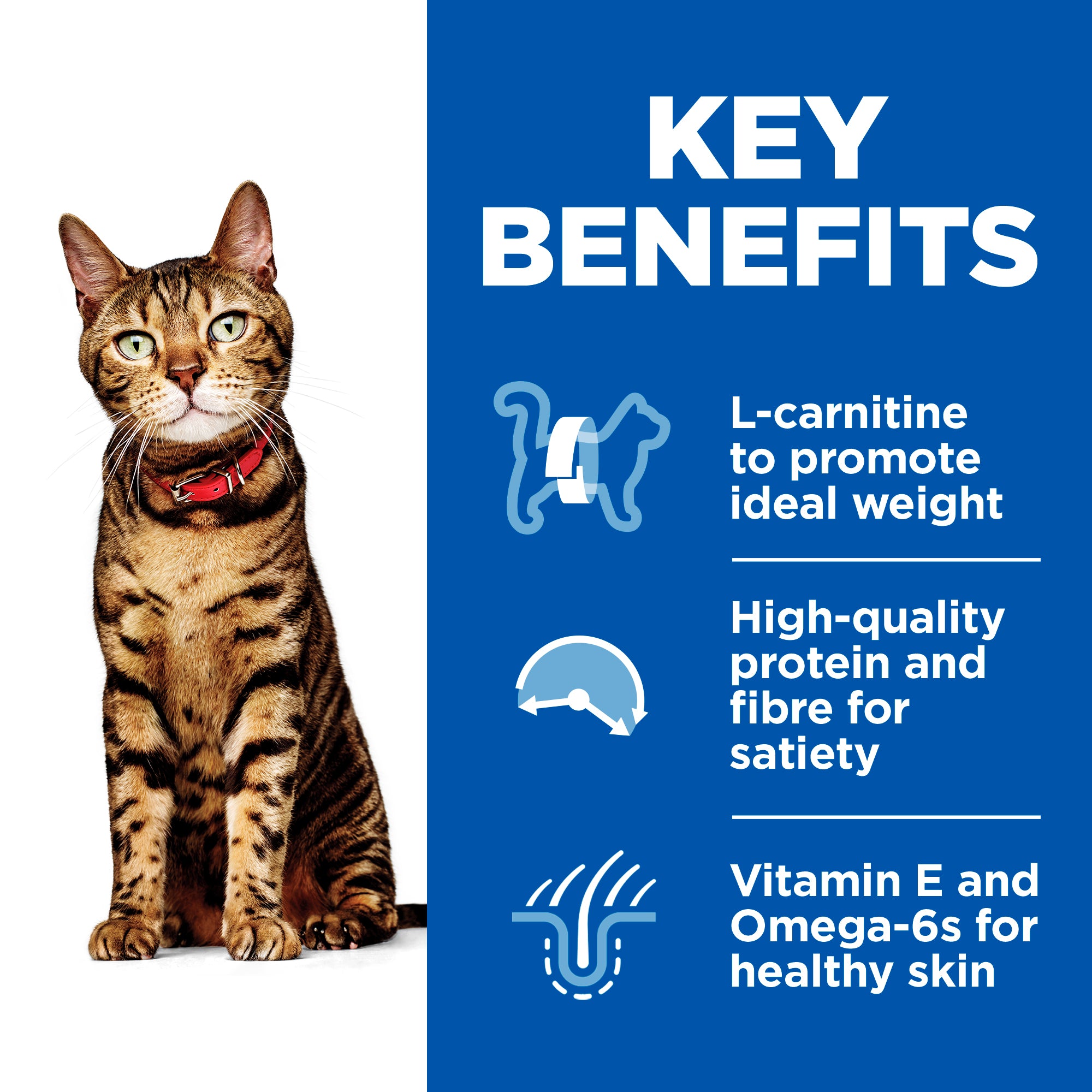 Hill's Science Plan Chicken Adult Dry Cat Food