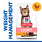 Hill's Science Plan Chicken Adult Dry Cat Food