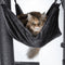 Trixie Amadeus Scratching Post for Cats
