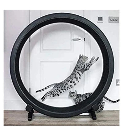 ONE FAST CAT Exercise Wheel 5th Generation Cat Toy