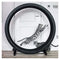 ONE FAST CAT Exercise Wheel 5th Generation Cat Toy