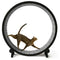 ONE FAST CAT Exercise Wheel 5th Generation Cat Toy