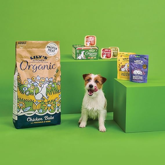 Lily's Kitchen Organic Beef Supper Wet Dog Food