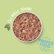 Lily's Kitchen Recovery Recipe Wet Dog Food