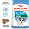 Royal Canin Mini Puppy Dry Food