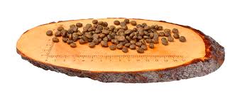 Carnilove Fresh Ostrich & Lamb for Small Breed Adult Dog Dry Food