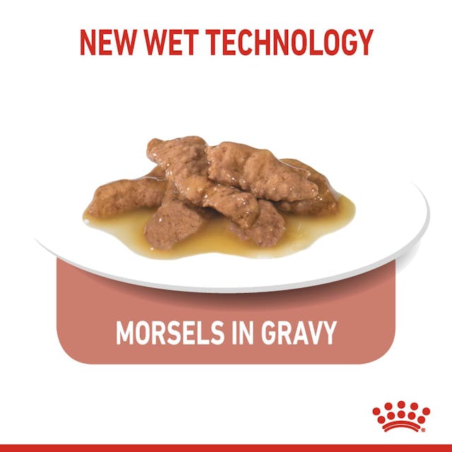 Royal Canin Indoor Sterilised in Gravy Cat Wet Food