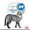 Royal Canin Indoor Sterilised in Gravy Cat Wet Food