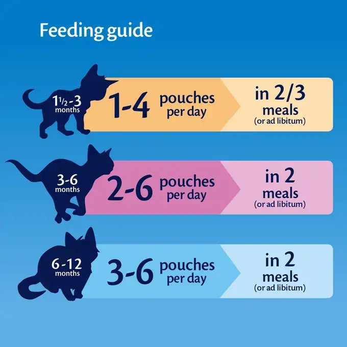 PURINA Felix Kitten as Good as it Looks Mixed Selection in Jelly Pouch Wet Food Pack