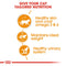 Royal Canin Feline Care Nutrition Hair & Skin in Gravy Adult Wet Cat Food