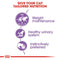 Royal Canin Sterilised in Gravy Wet Cat Food