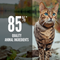 Orijen Six Fish Formula Grain Free Diet Dry Cat Food