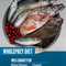 Orijen Six Fish Formula Grain Free Diet Dry Cat Food