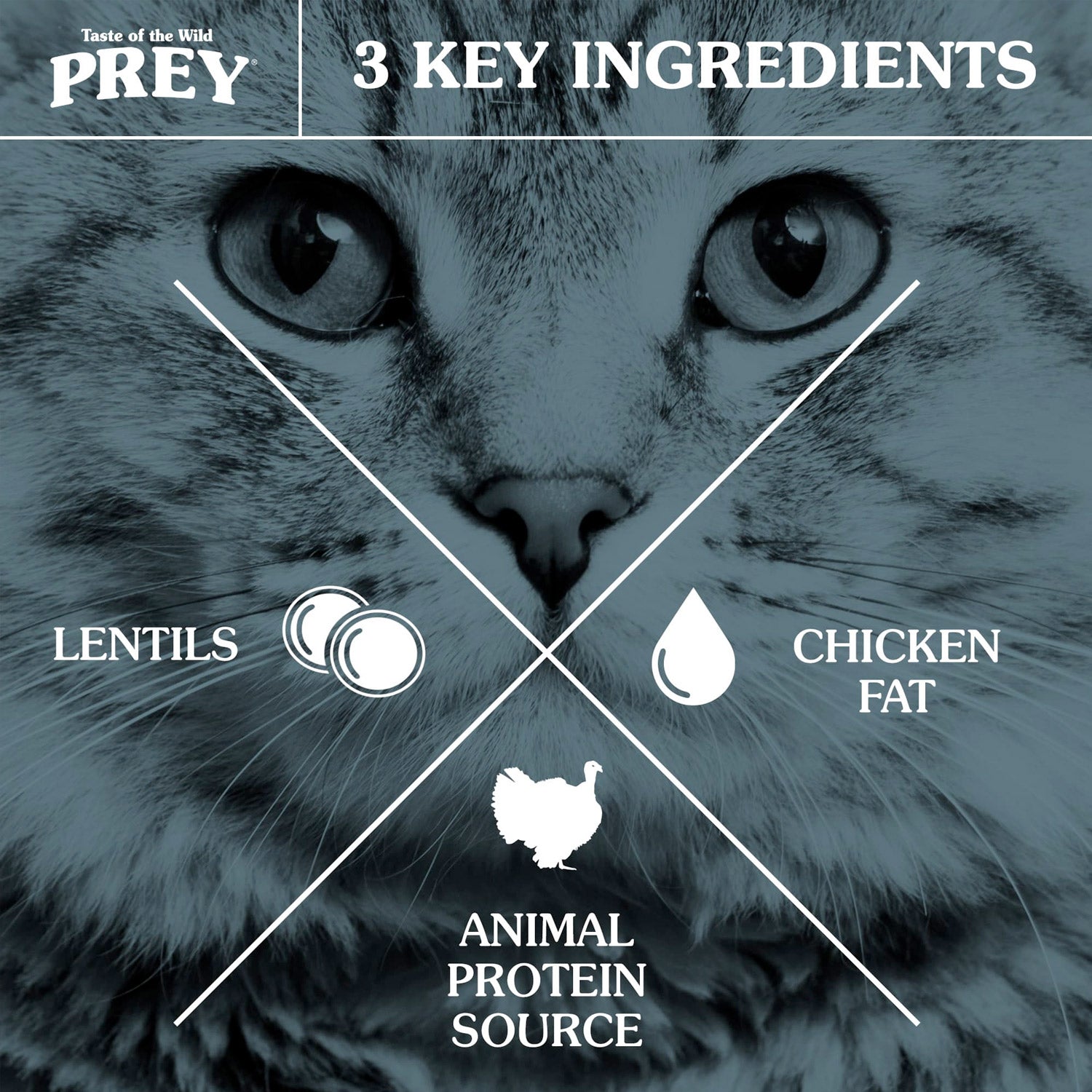 Taste of the Wild PREY Turkey for Dry Cat Food