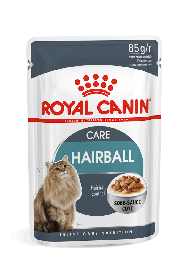 Royal Canin Hairball Care in Gravy Adult Wet Cat Food