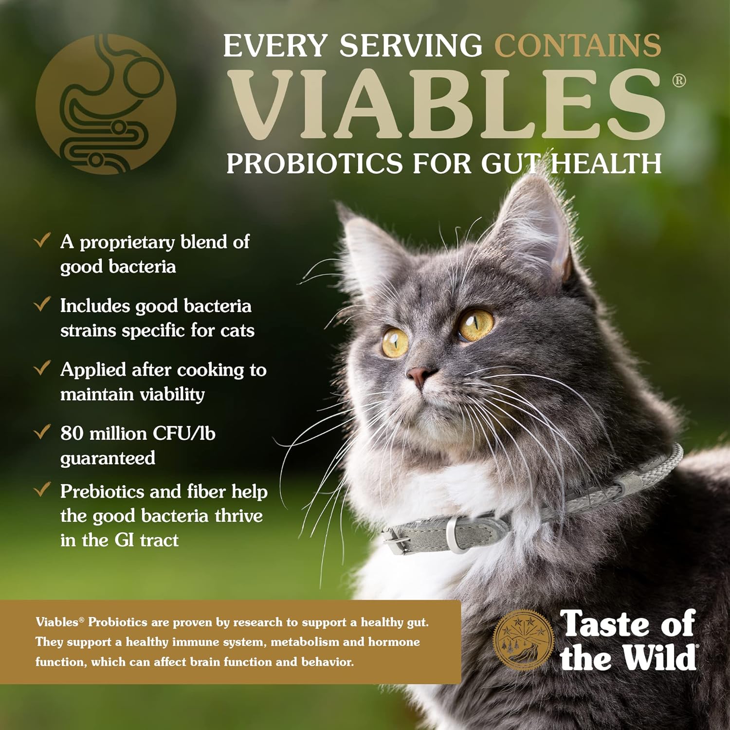Taste of the Wild Rocky Mountain Feline Formula Dry Cat Food