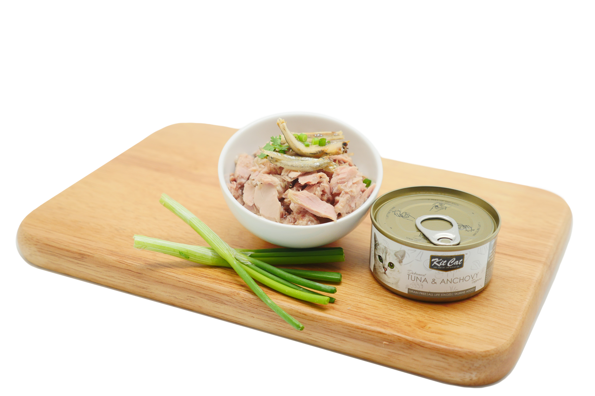 Kit Cat Grain Free Tuna & Anchovy Topper Wet Cat Food