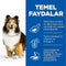 Hill's Science Plan Sensitive Stomach & Skin Medium Adult Dry Dog Food