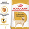 Royal Canin Labrador Retriever Adult Dry Dog Food - 12 KG