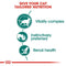 Royal Canin Instinctive 7+ Adult Wet Cat Food