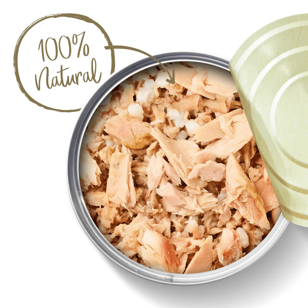 Applaws Ocean Fish Wet Cat Food