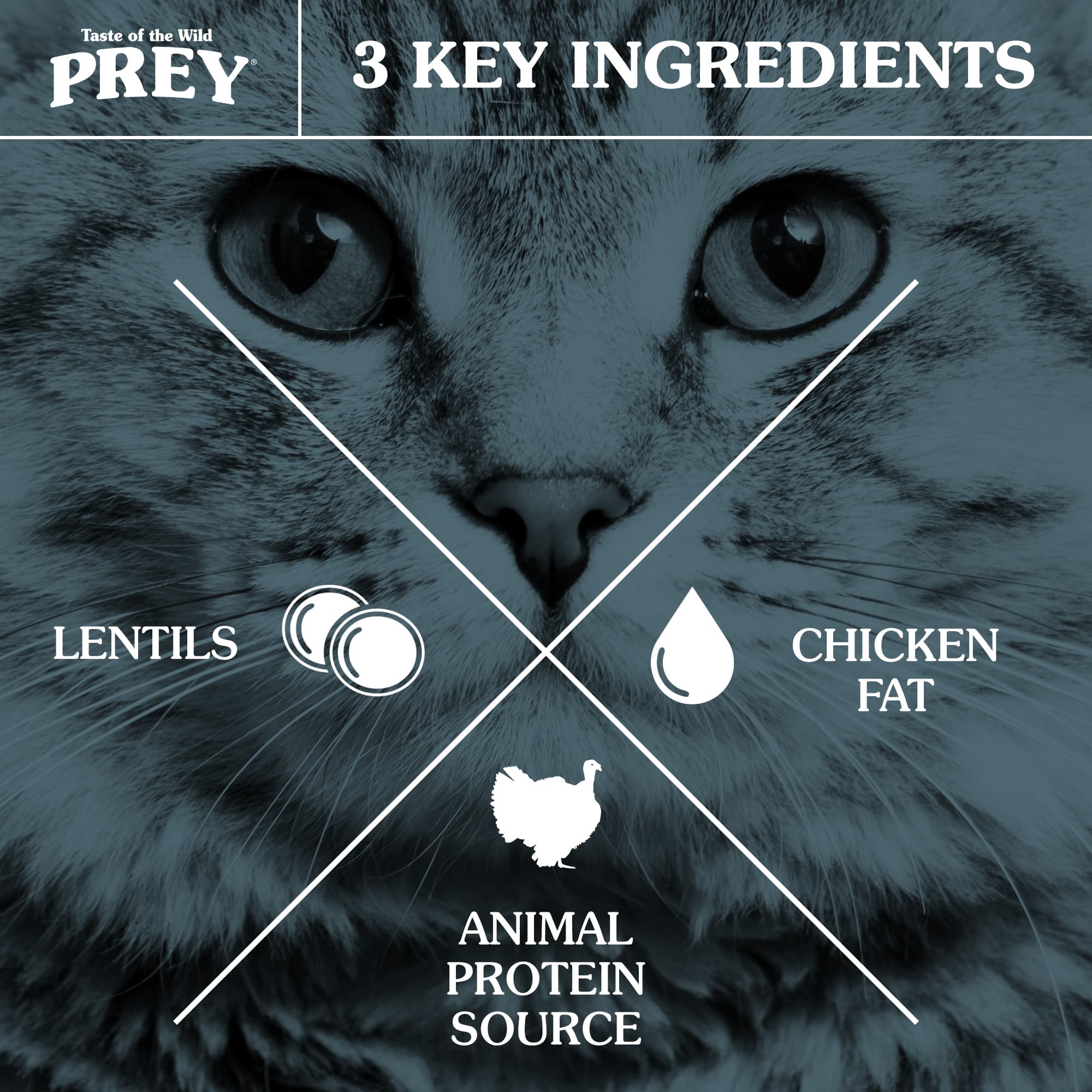 Taste of the Wild PREY Angus Beef for Dry Cat Food