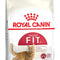 Royal Canin Regular Fit 32 Adult Dry Cat Food