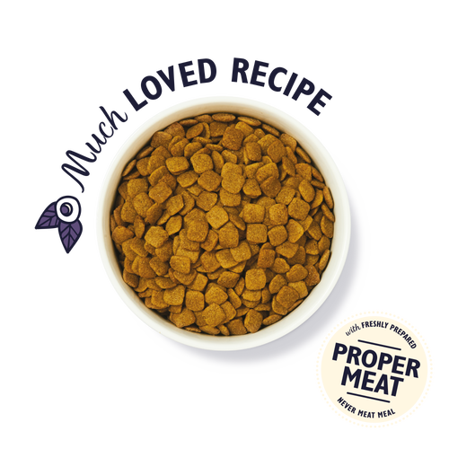 Lily's Kitchen Senior Recipe Turkey Adult 8+ Dry Dog Food