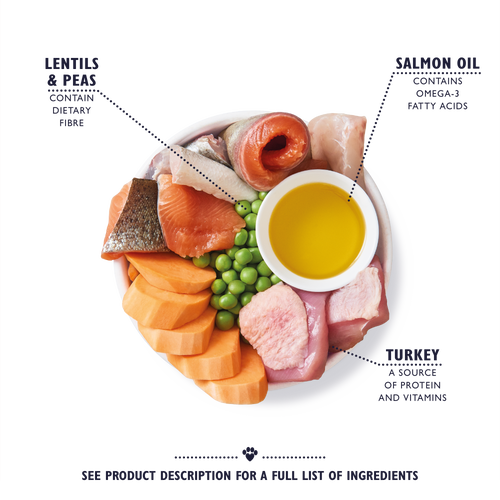 Lily's Kitchen Senior Recipe Turkey Adult 8+ Dry Dog Food