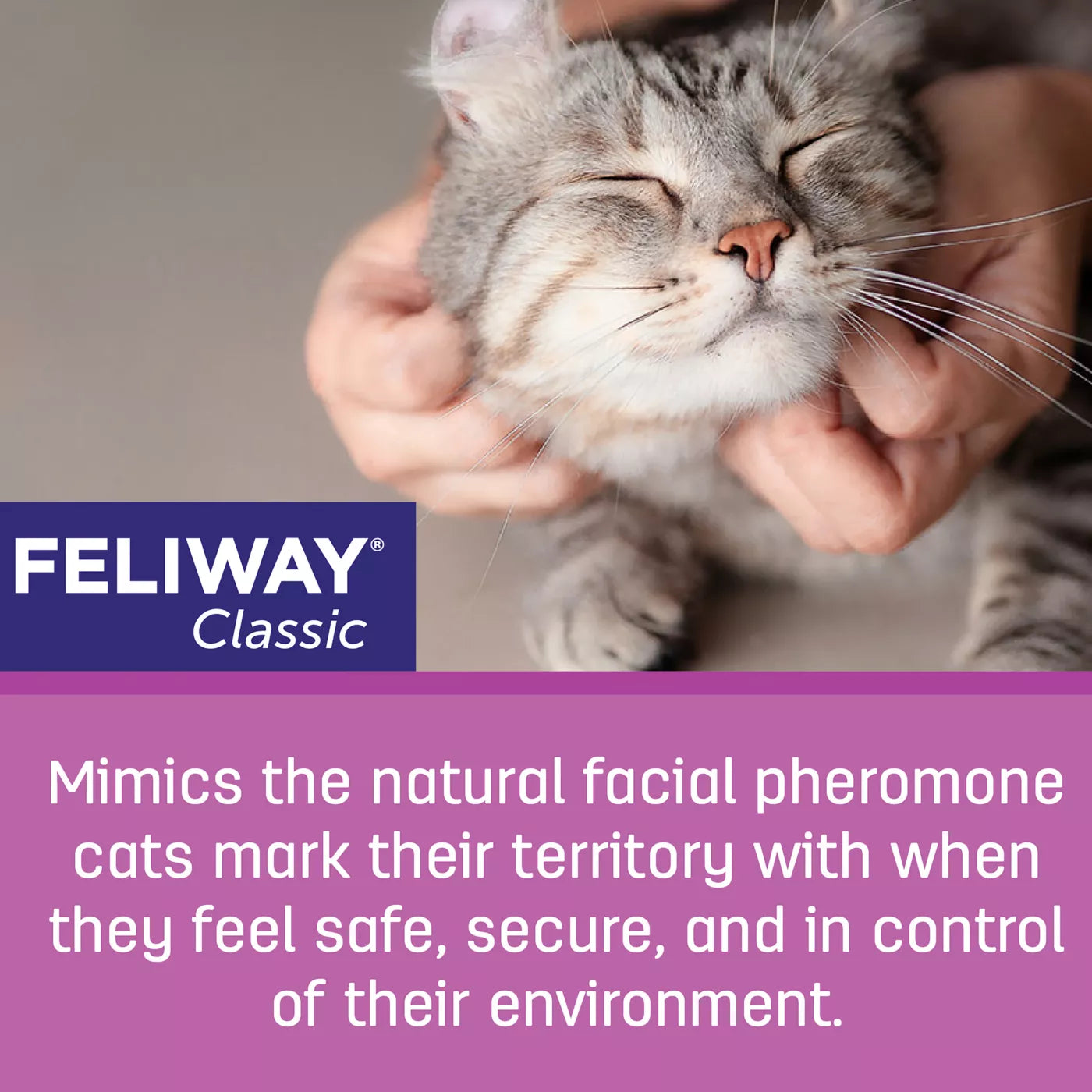 Feliway Classic Spray for Cats