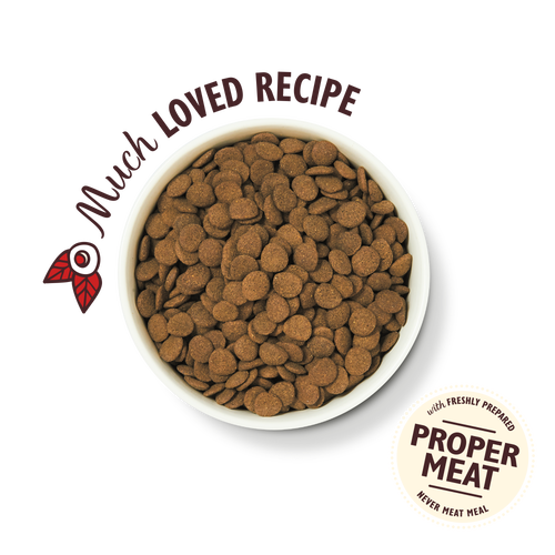 Lily's Kitchen Ancient Grains Beef Dry Dog Food