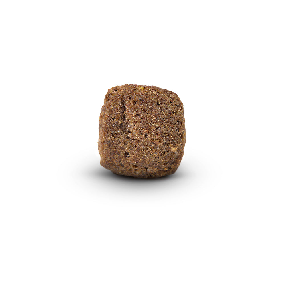 Arden Grange Sensitive Senior Dry Dog Food