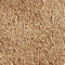 Cat's Best Organic Cat Litter