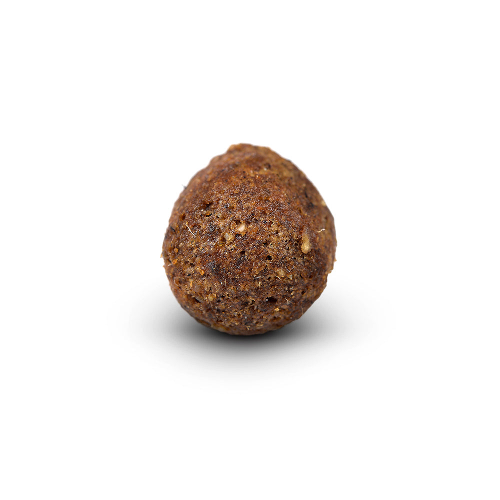 Arden Grange Adult Fresh Lamb & Rice Dry Dog Food