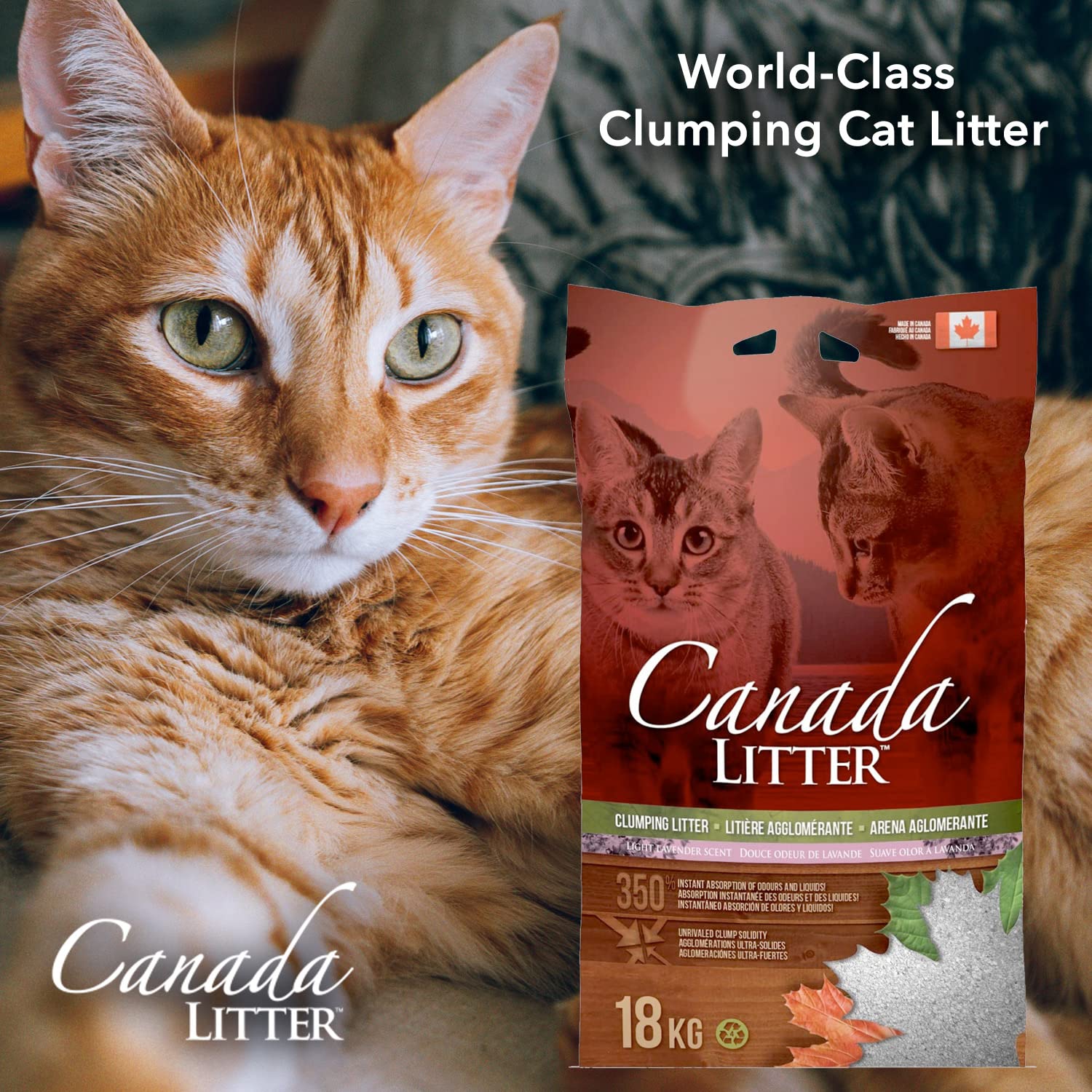 Canada LITTER Lavender Scented Cat Litter