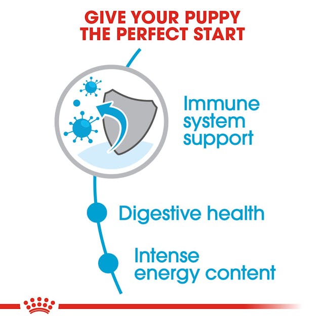 Royal Canin Mini Puppy Dry Food