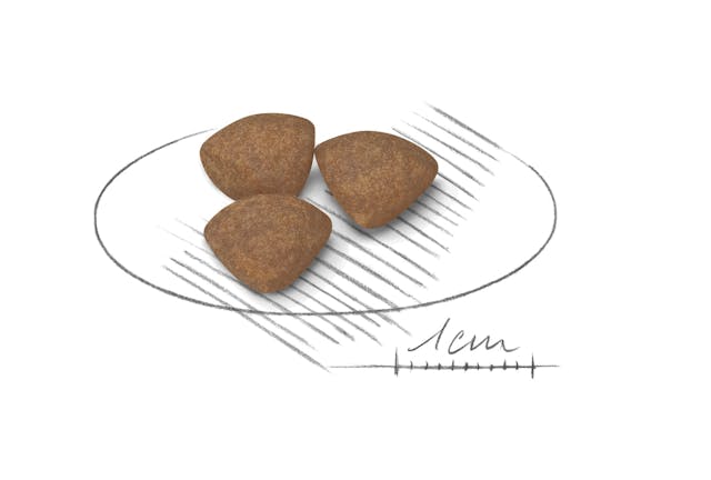 Royal Canin Mini Puppy Dry Food