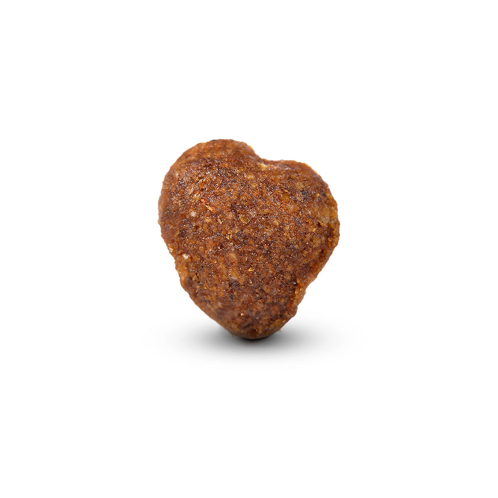 Arden Grange Mini Adult Fresh Chicken & Rice Dry Dog Food